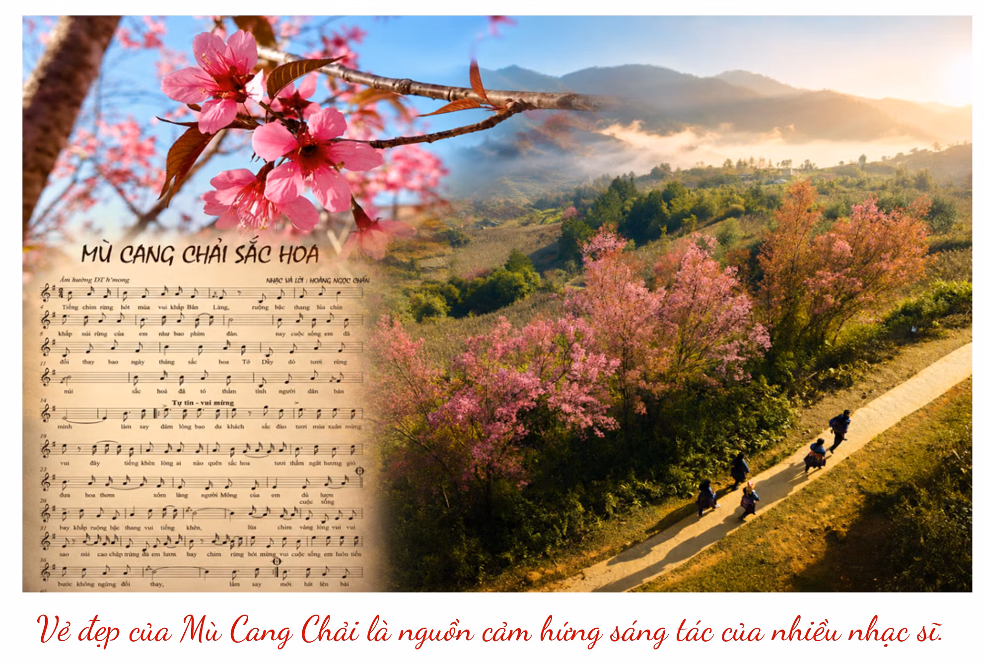 mcc-trang.png