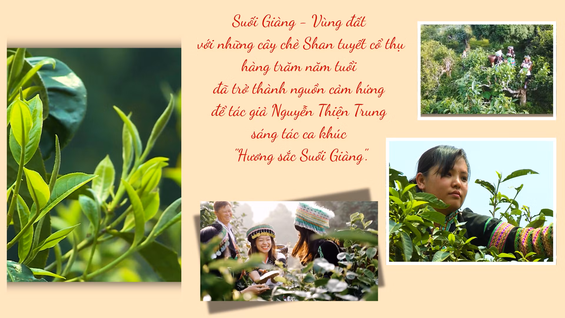 suoi-giang-trang.png