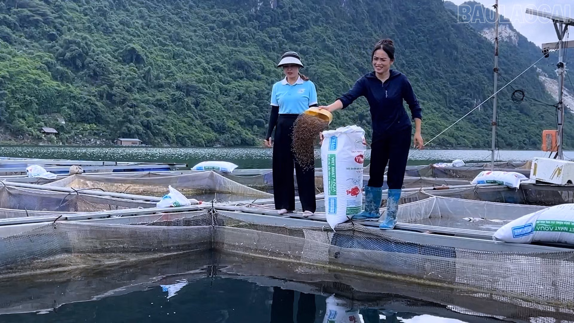 baolaocai-tr_z7396267473179-7a5e085aad905c1564e4fc2289505c7a.jpg