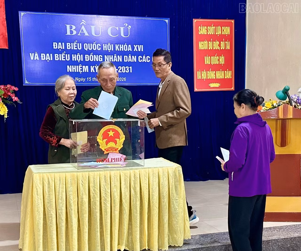 baolaocai-tr_z7621472166669-14592ed36bb920292dfaacceeb1f6745.jpg