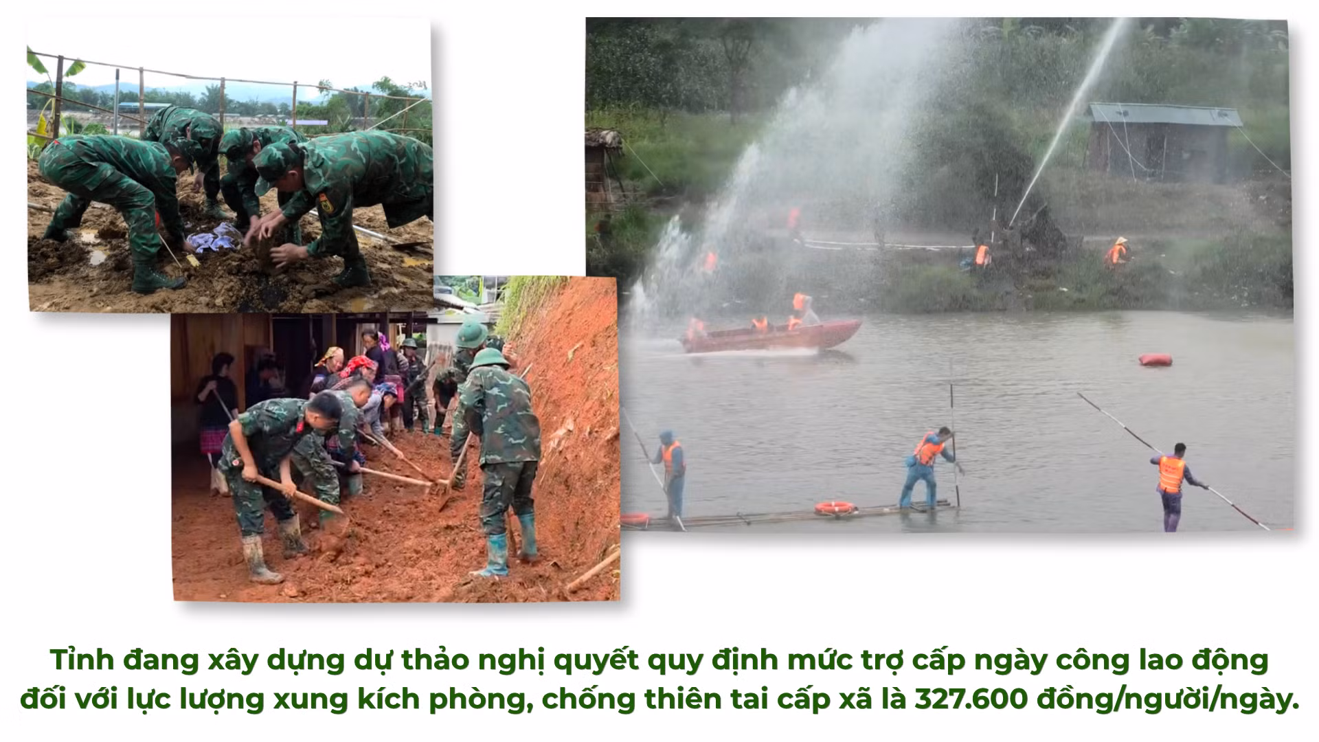 lai-3.png