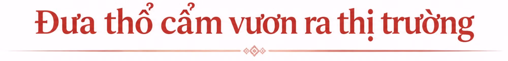 elegant-vietnamese-editorial-headings-5574.jpg