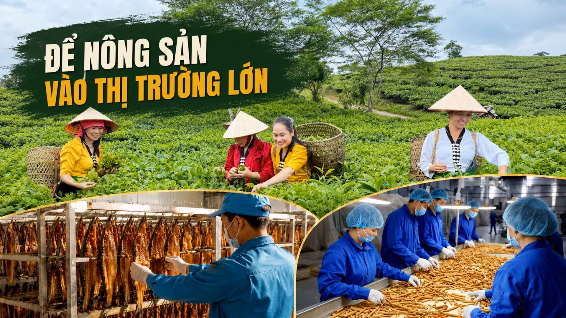 Để nông sản vào thị trường lớn