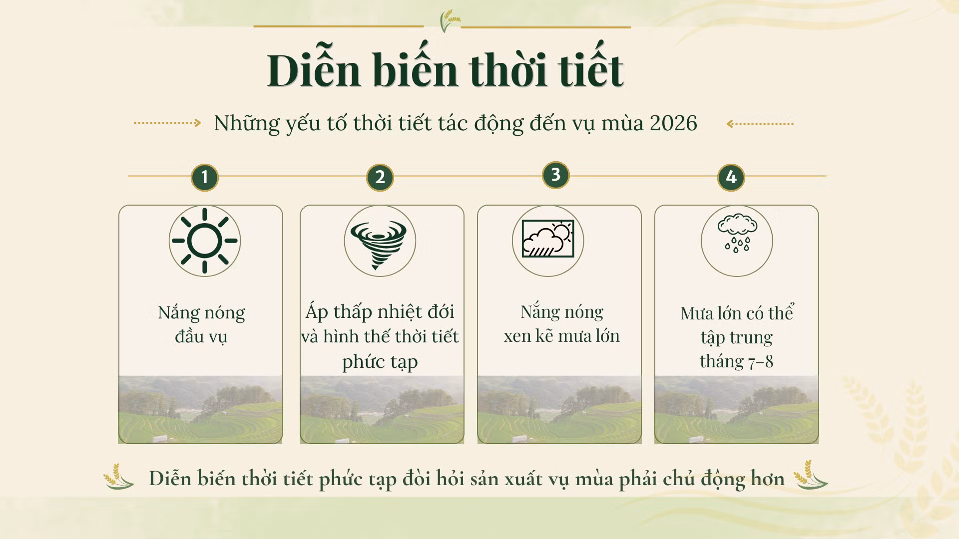 info-002.png