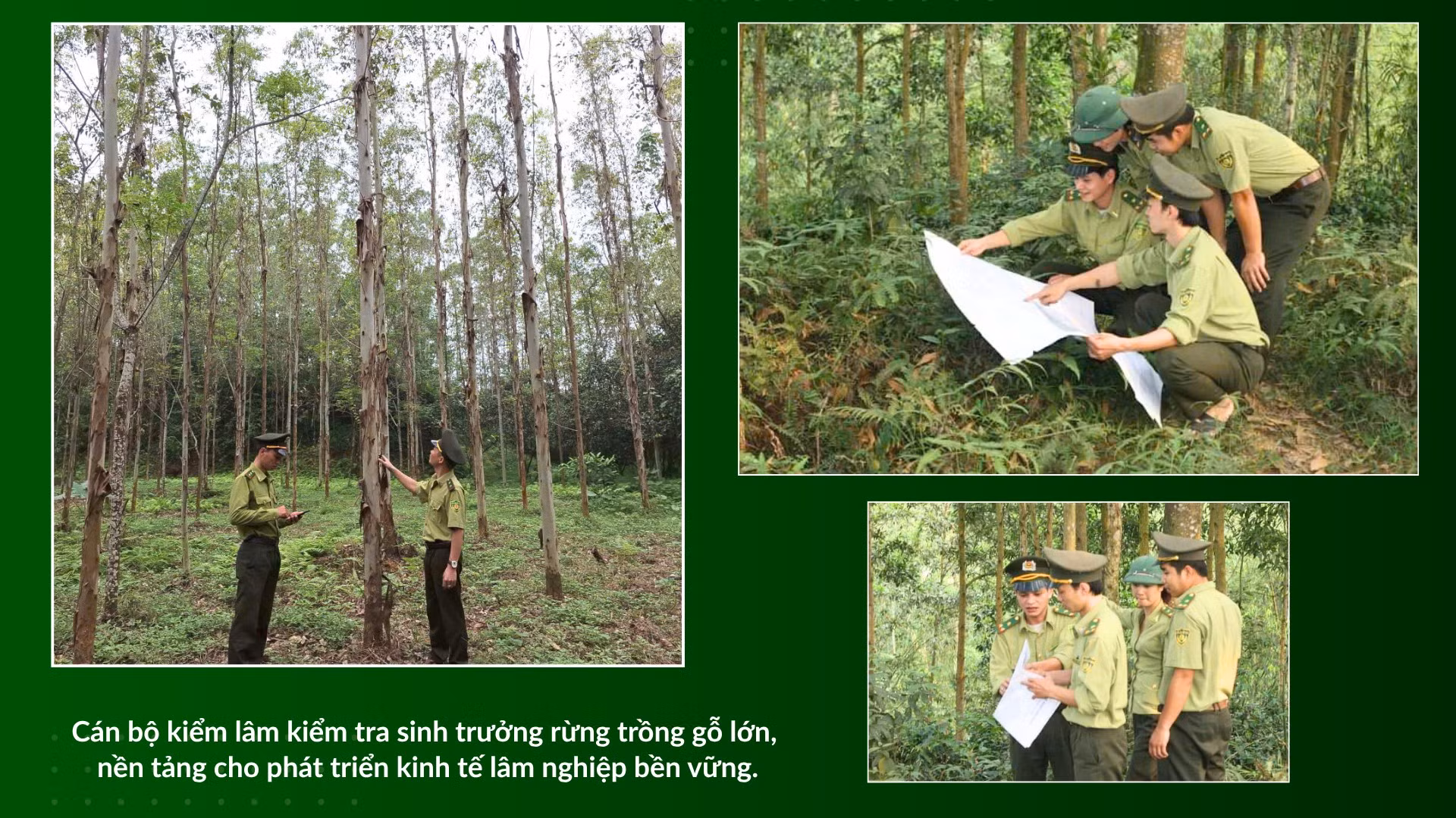 can-bo-kiem-lam-kiem-tra-sinh-truong-rung-go-lon.png