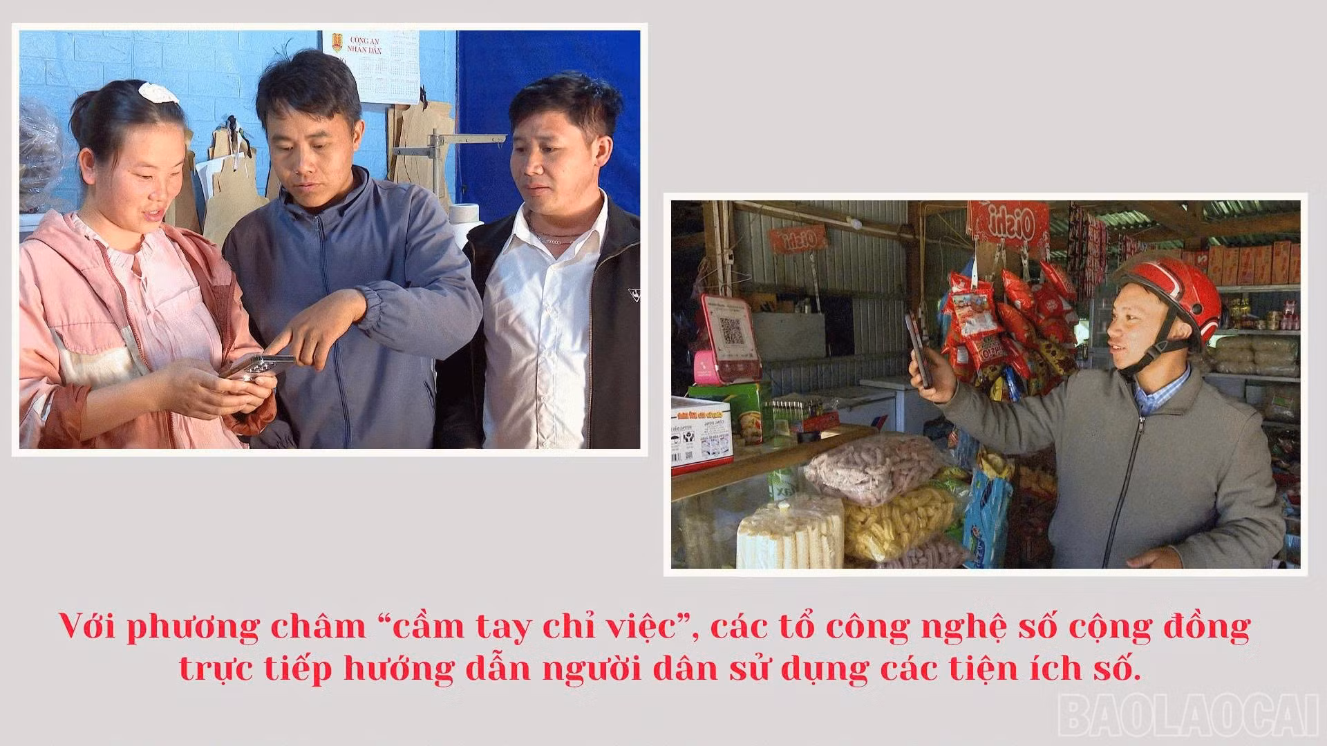 baolaocai-br_1792167785543-2827769545189158591-2827769545189158591-91021466bf95d8d48170599cab55feca.jpg