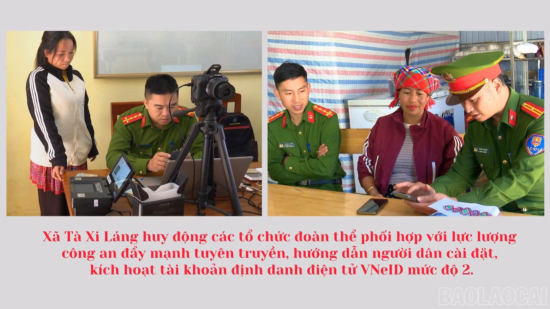 baolaocai-br_30.jpg