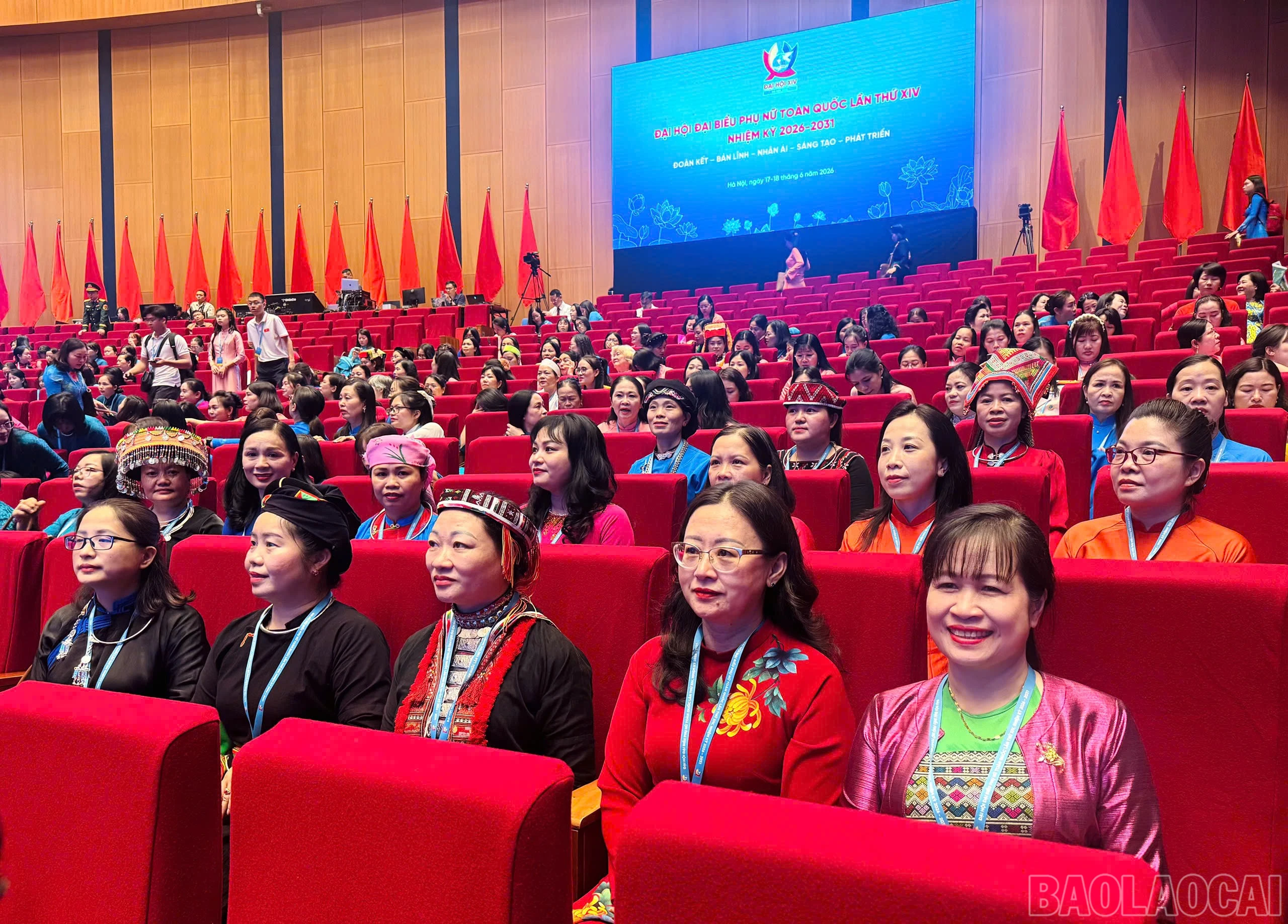 baolaocai-br_z7949147417575-3a6feafc129f1c8f5c7e4ad35d4628c3.jpg