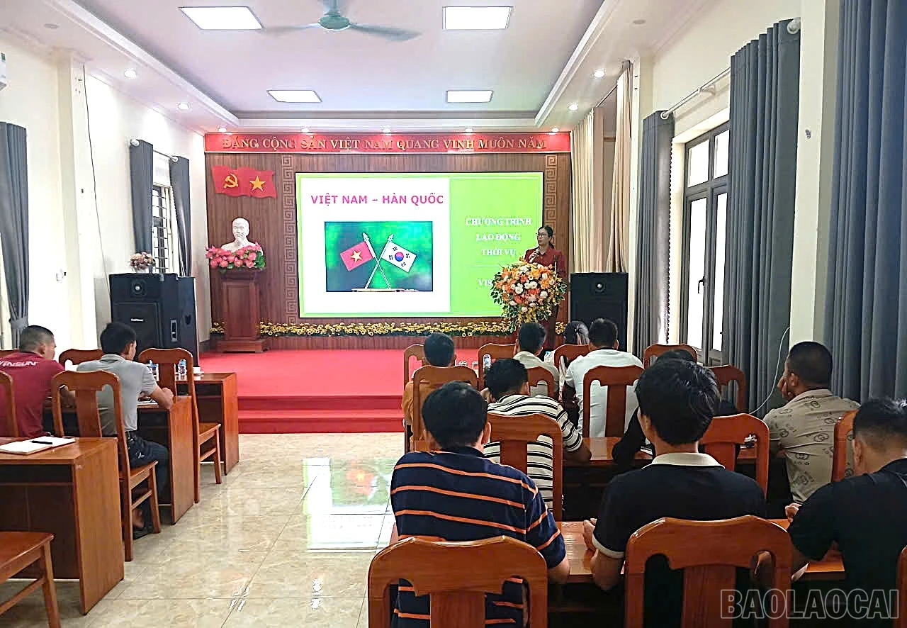 baolaocai-br_z7799512929893-172592deb34f00d1ae0fde1074194658.jpg