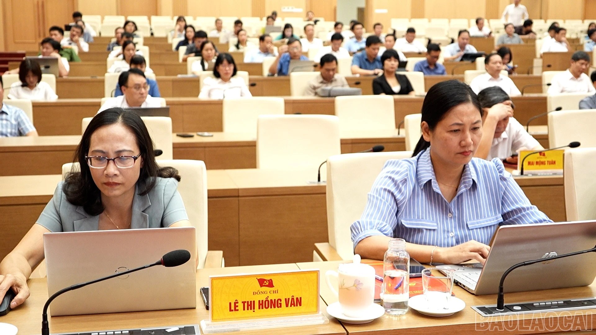 baolaocai-br_c20260523-987600-01-59-12still003.jpg