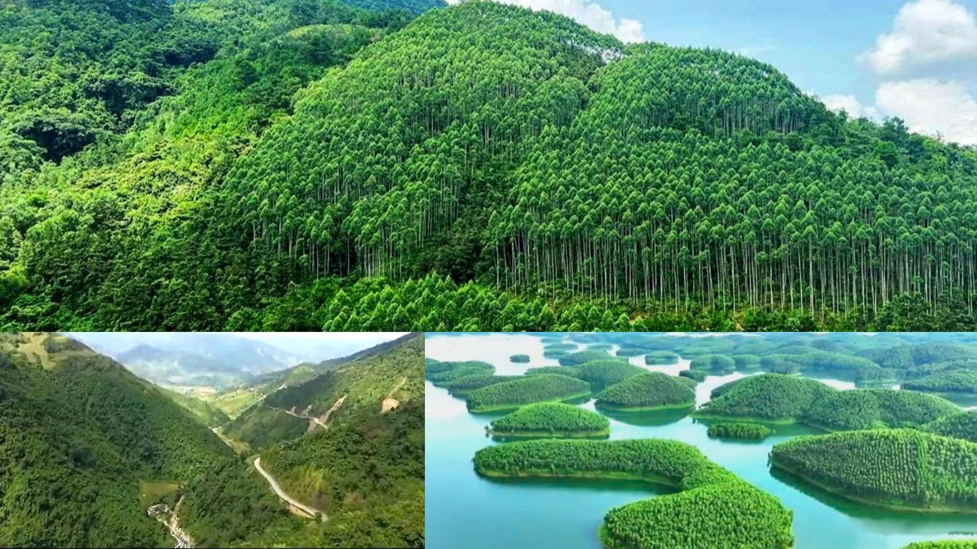 huong-2.png