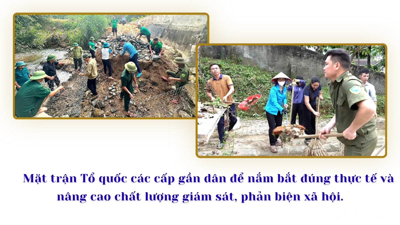 baolaocai-br_2-2104.png