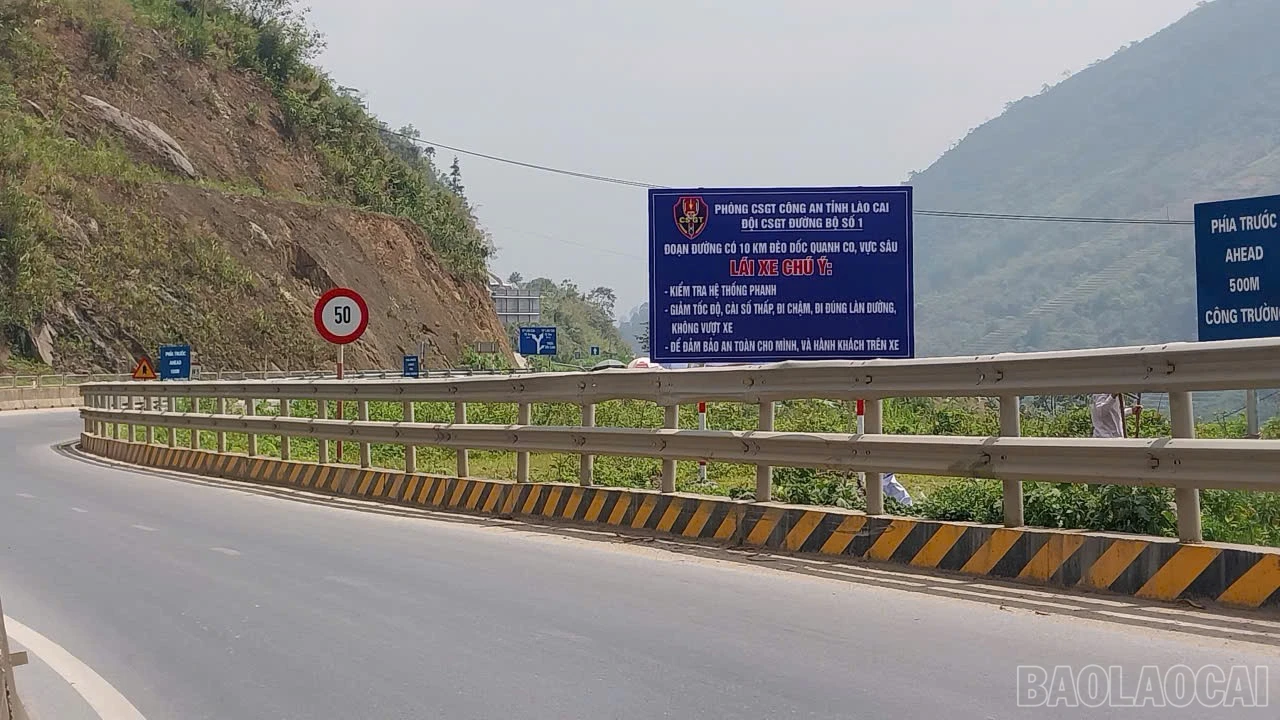 baolaocai-br_3.jpg