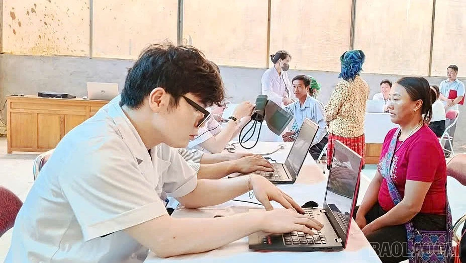 baolaocai-br_1.jpg