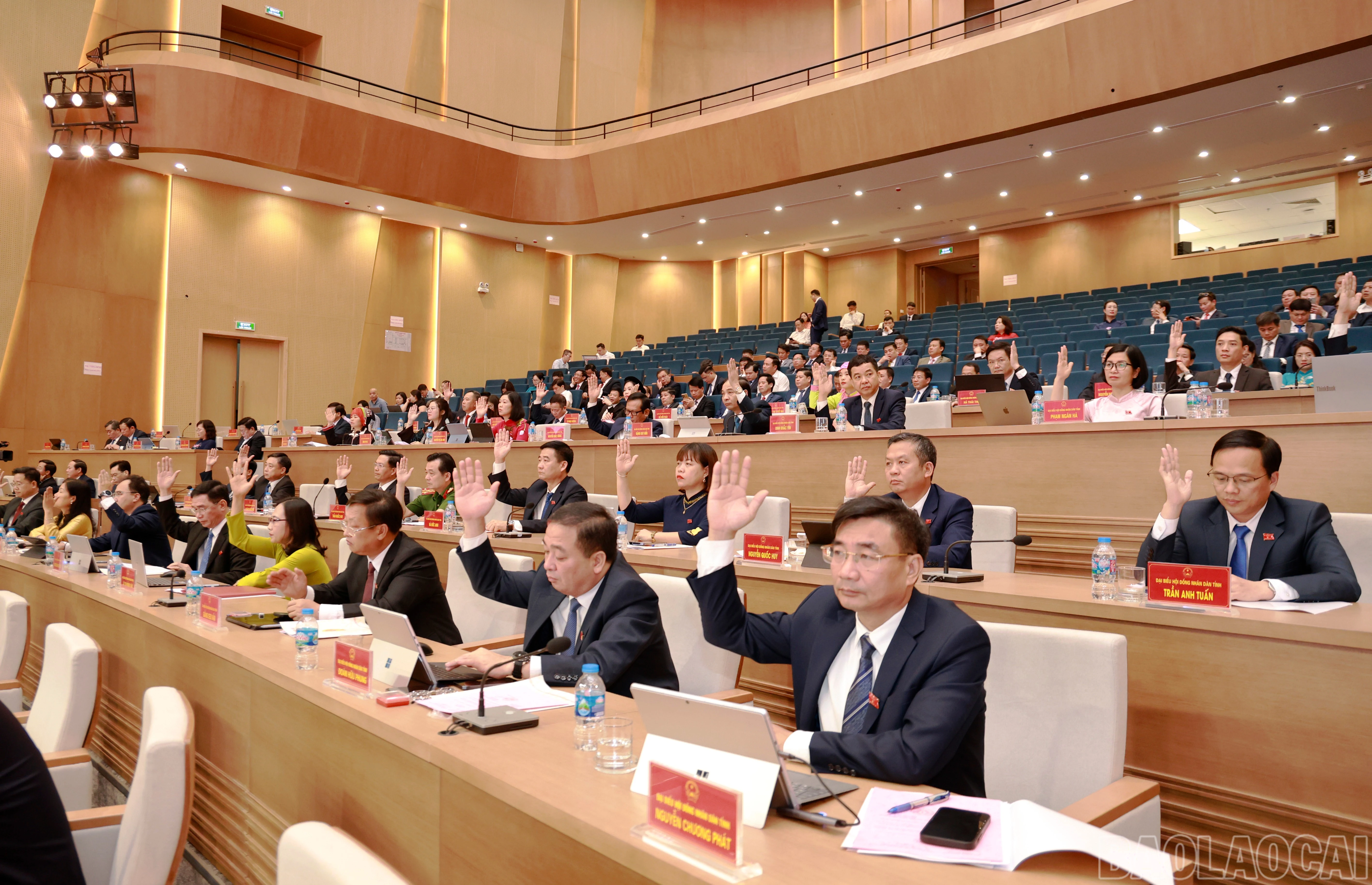 baolaocai-br_060a9413-copy.jpg