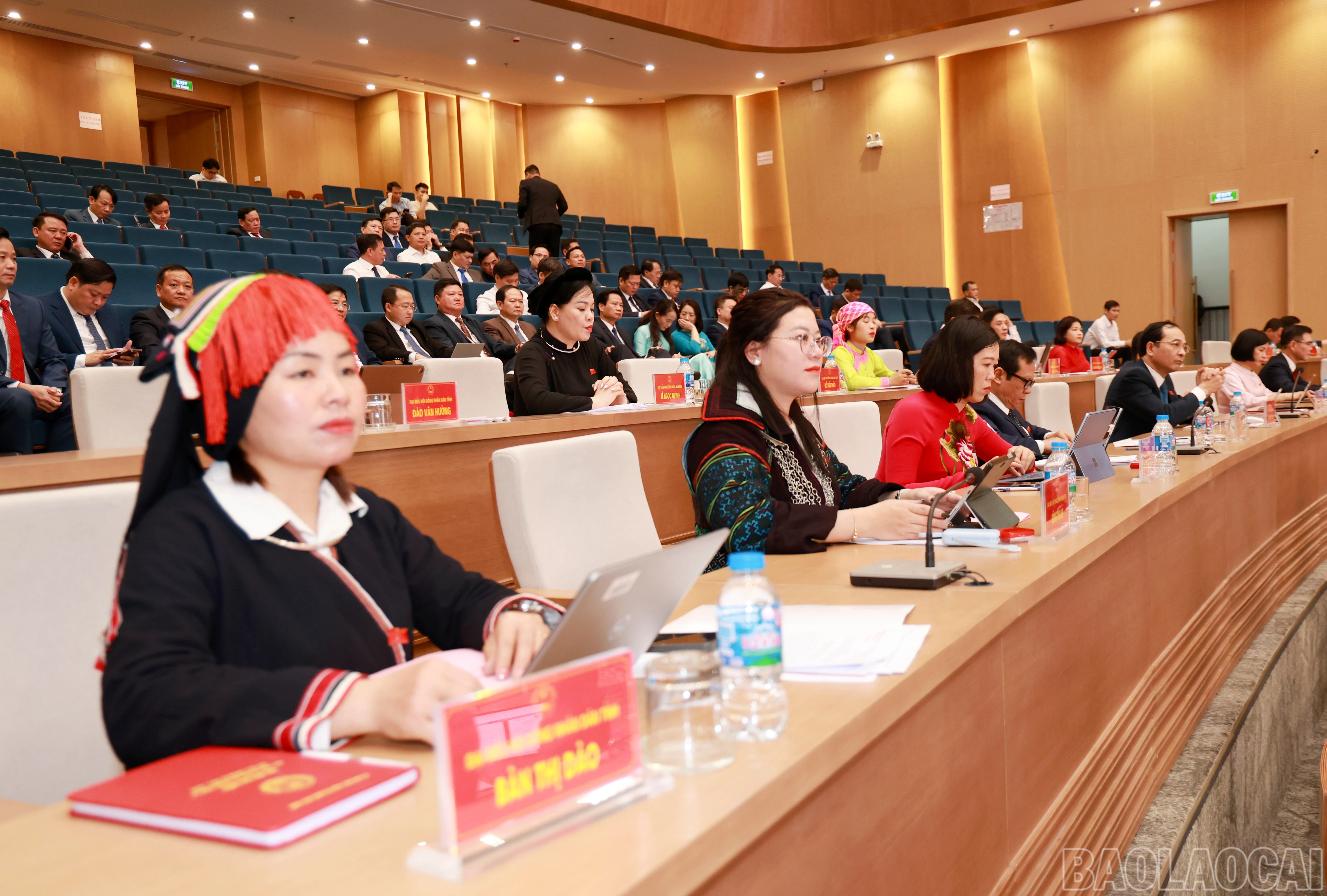 baolaocai-br_060a9206.jpg