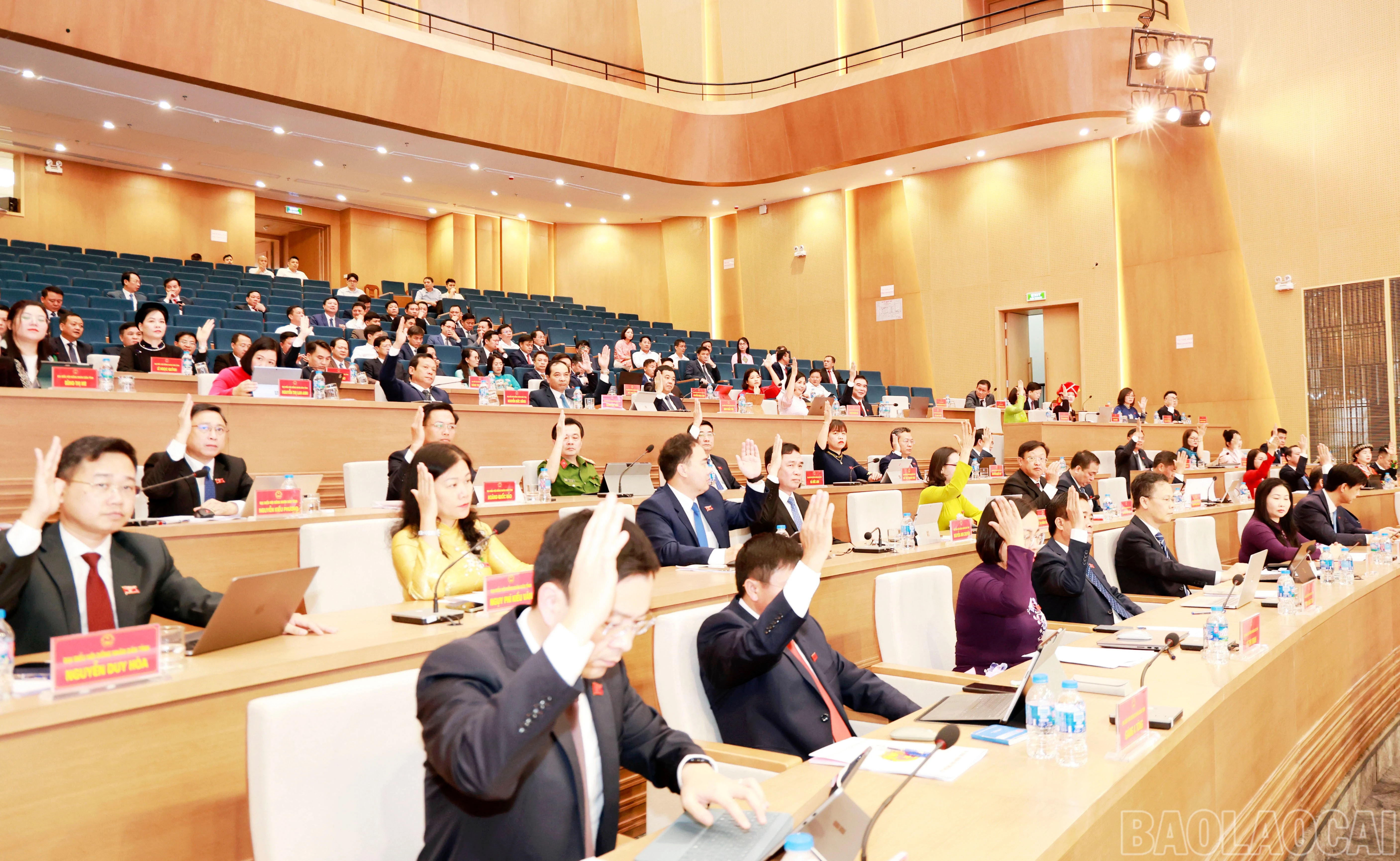 baolaocai-br_060a9180.jpg