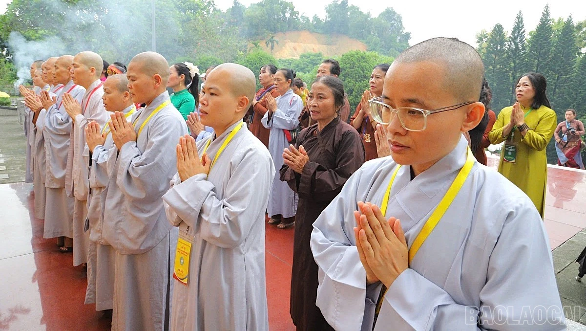 baolaocai-br_6.jpg