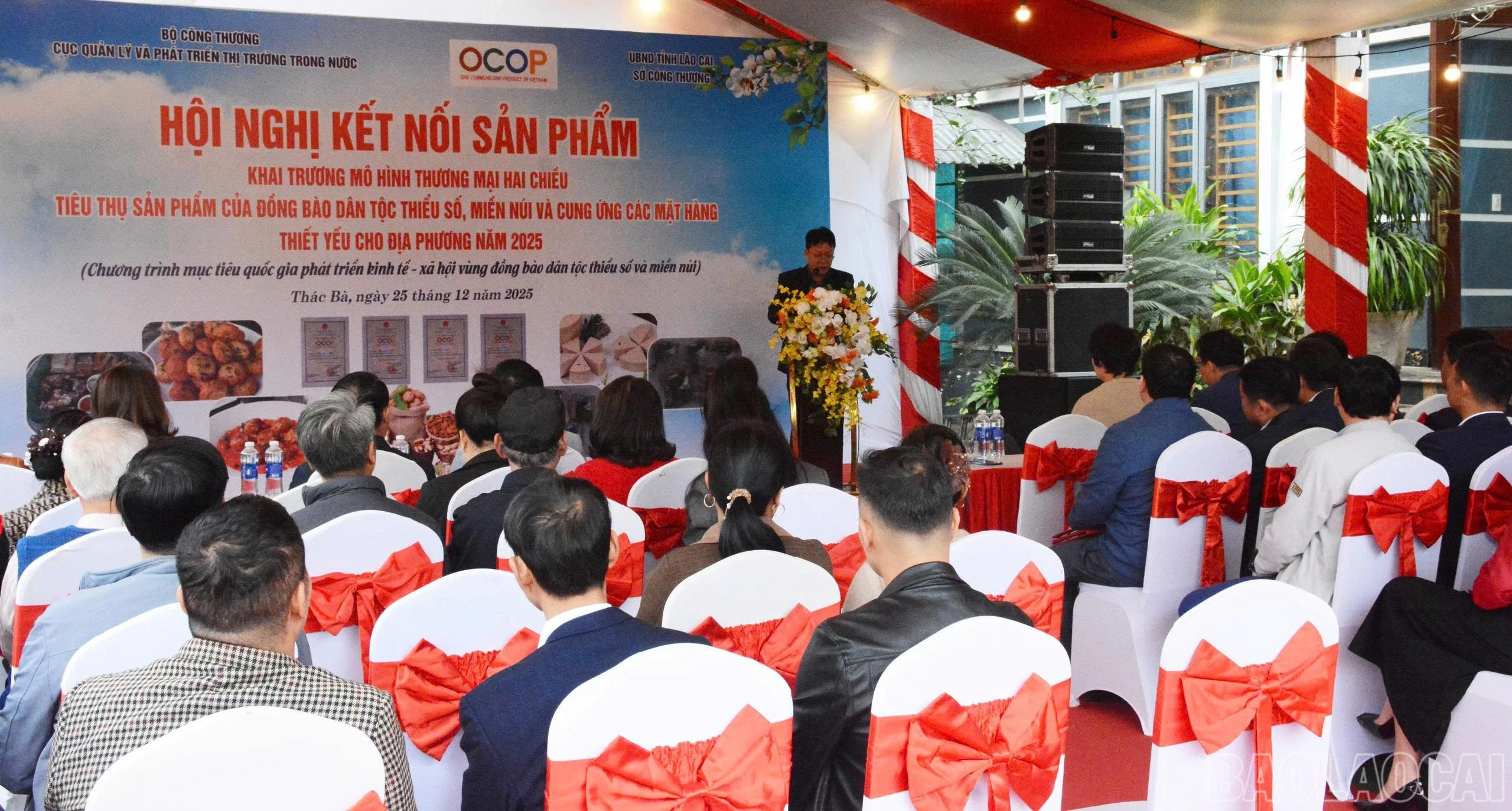baolaocai-br_z7363861416791-fe932fdeabaa540a78fa16c16c282117.jpg