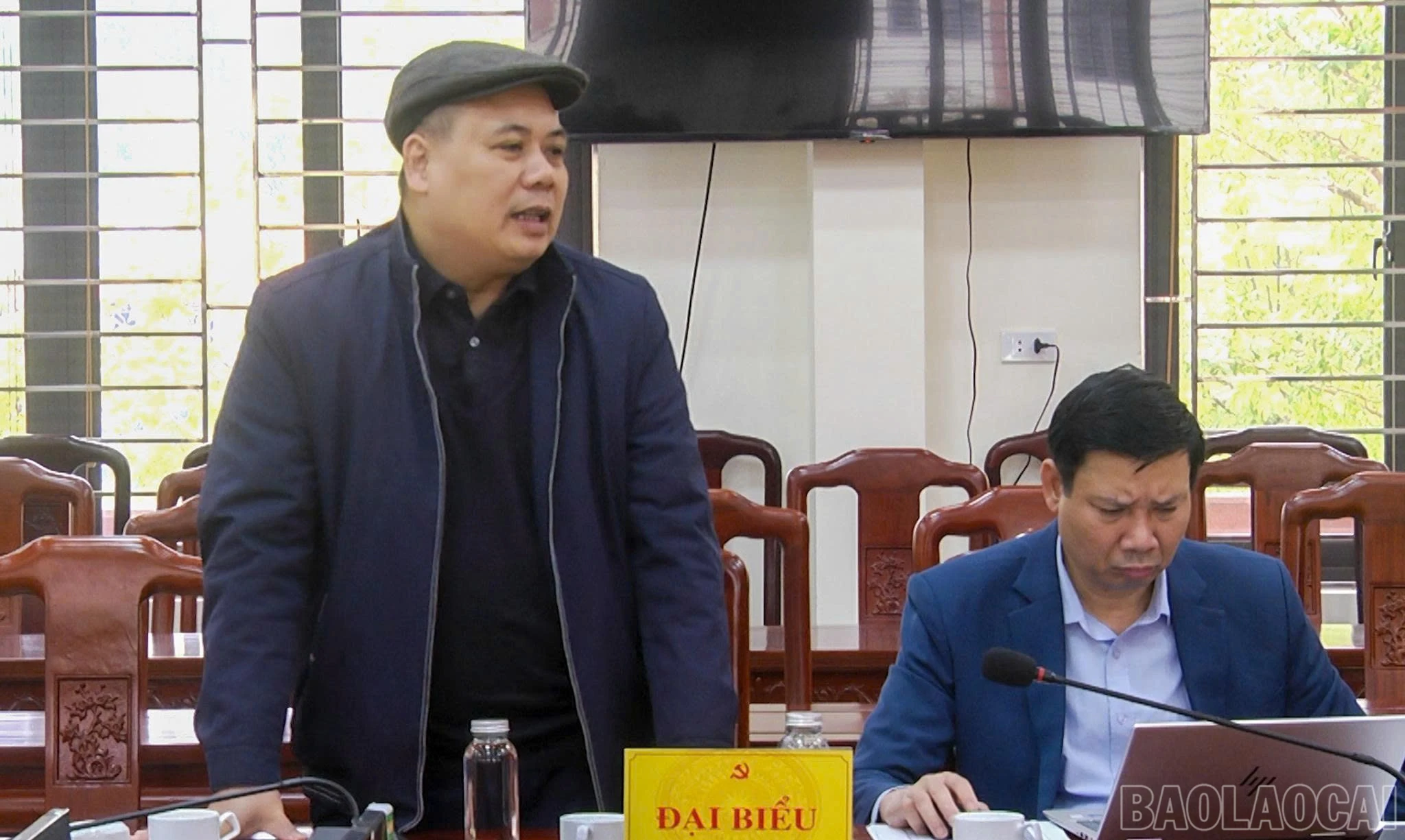 baolaocai-br_tg.jpg
