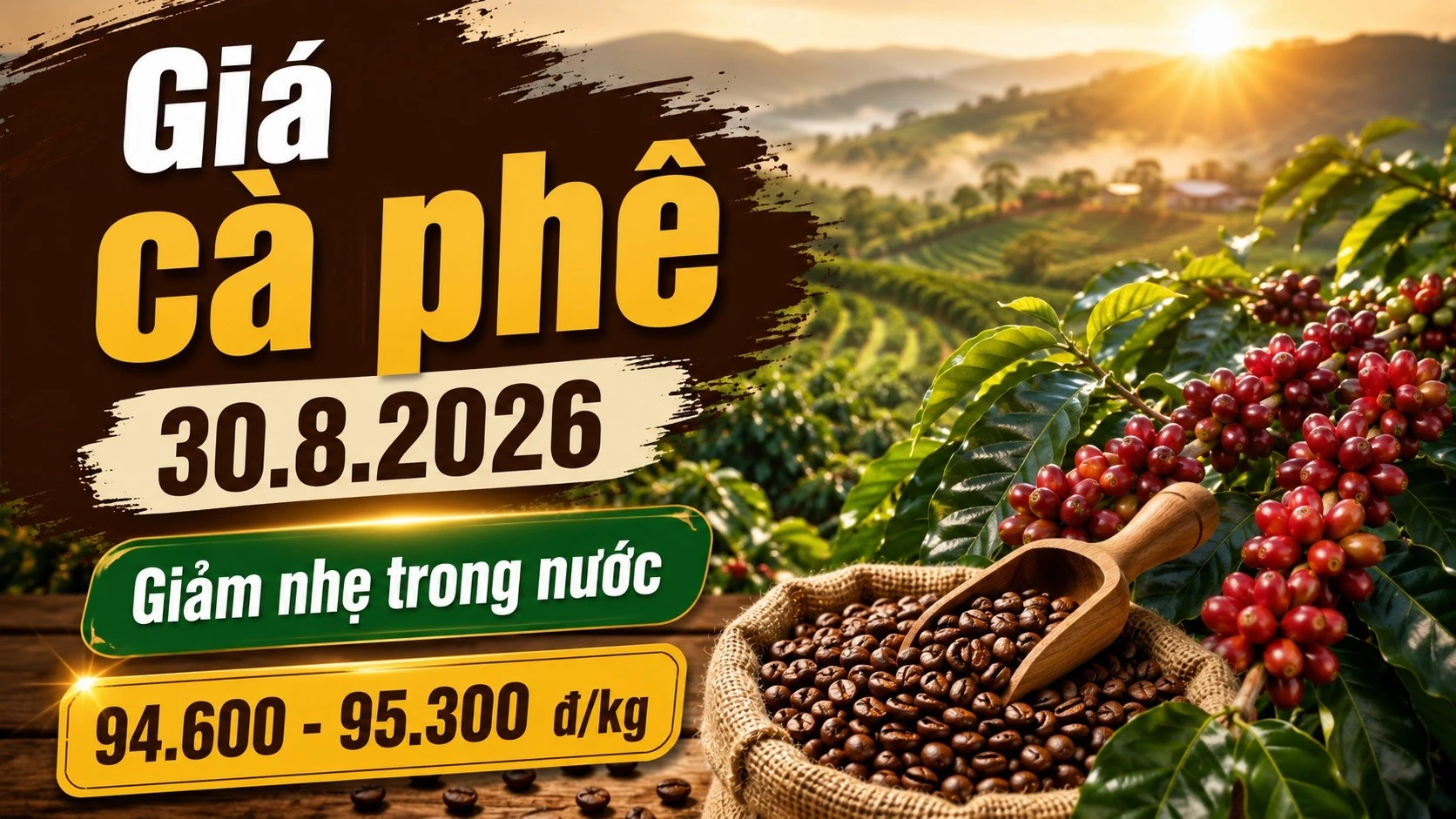 gia-ca-phe-hom-nay-30-8-2026-1502.jpg