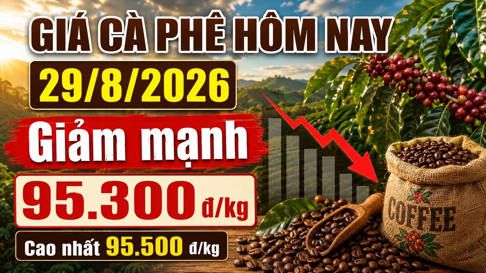 gia-ca-phe-hom-nay-29-8-2026-3431.jpg