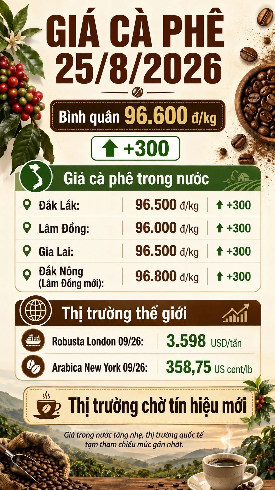 gia-ca-phe-hom-nay-25-8-2026-8556.jpg