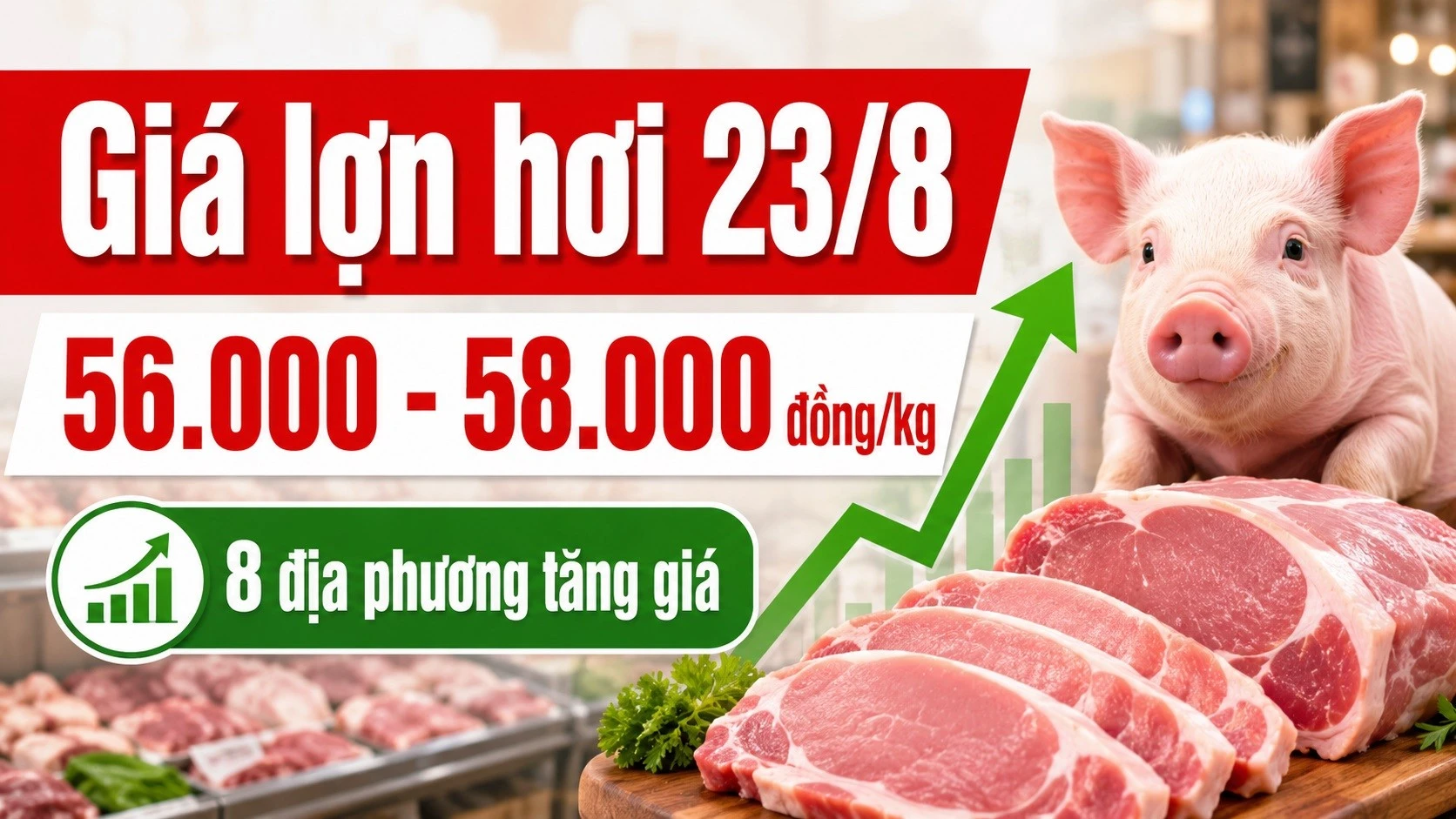 gia-heo-hoi-hom-nay-23-8-2026.jpg