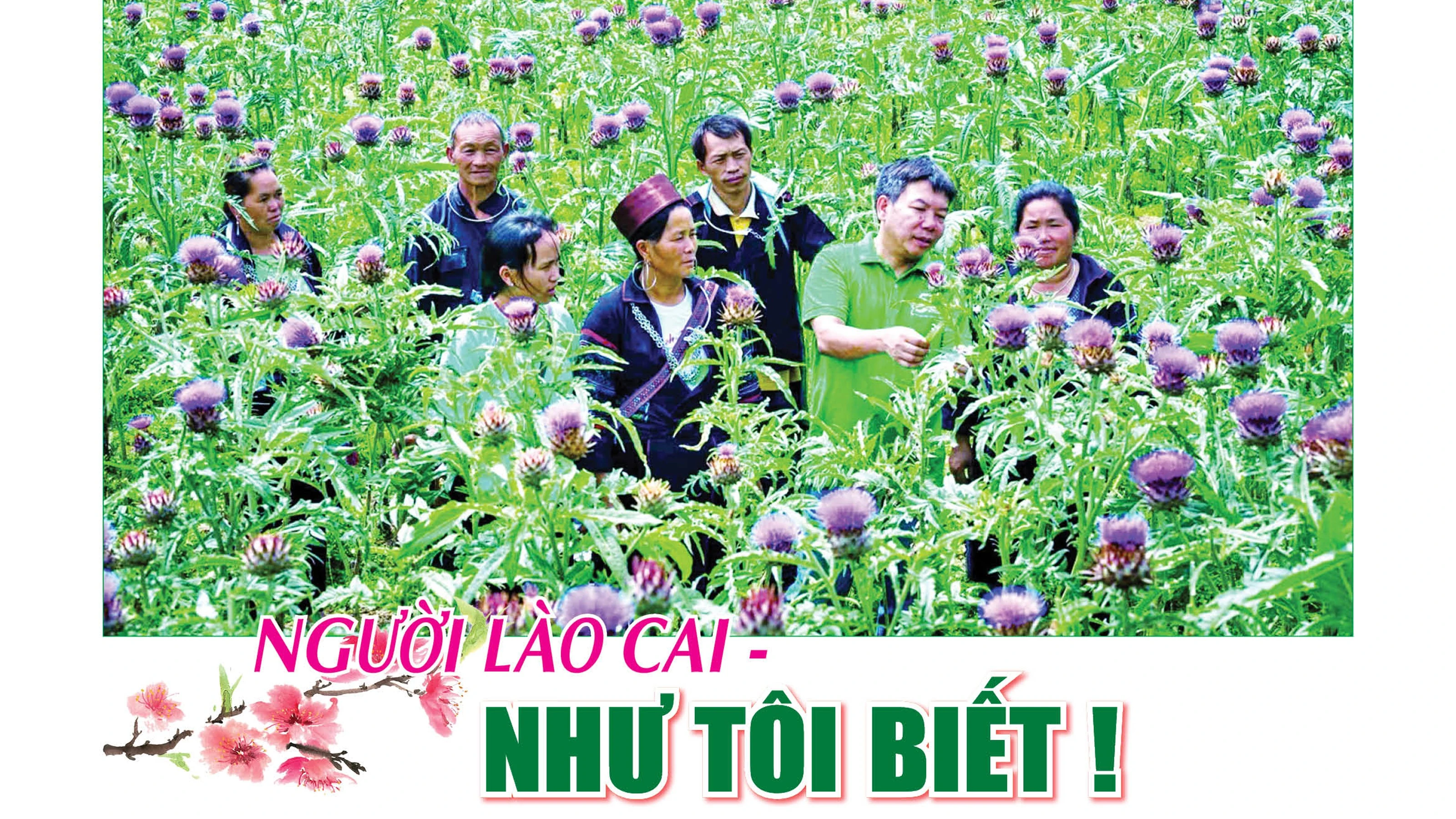 thuong-ky-so-4211.jpg