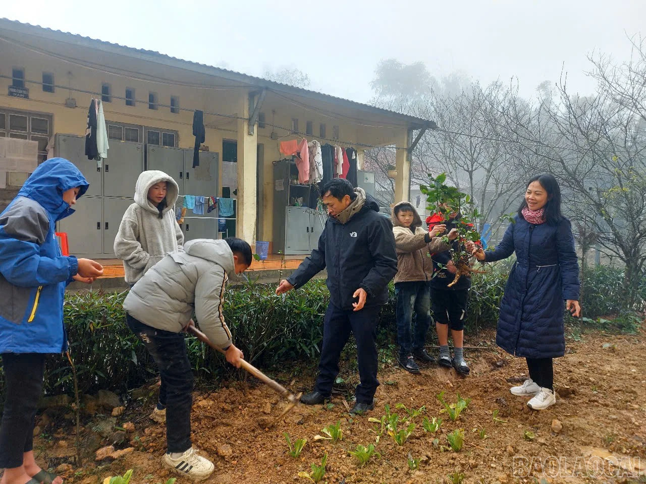 baolaocai-br_z6295010443917-0d94c7ec7fd4f5cf01d76331f4afe01e.jpg