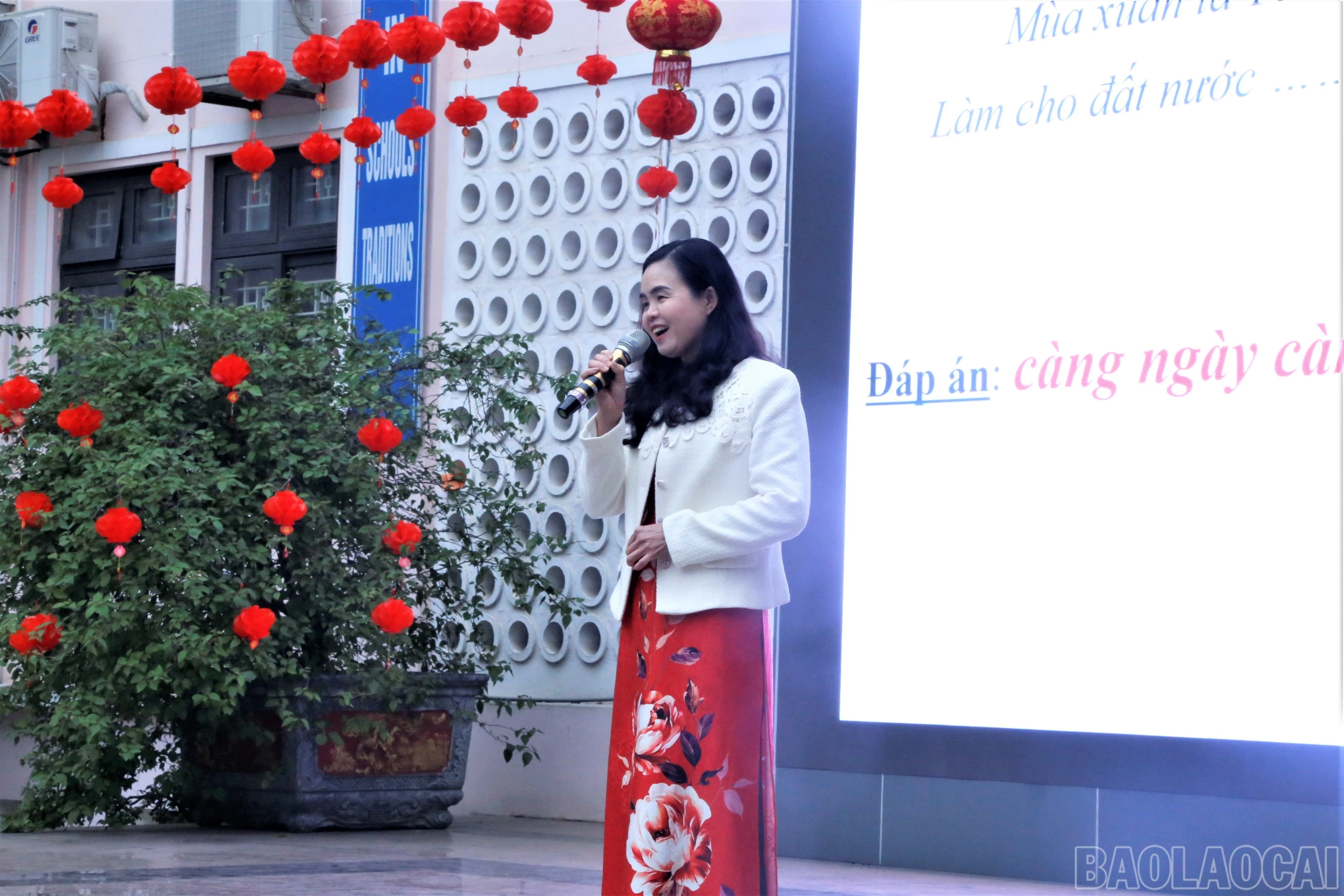 baolaocai-br_mg-7843.jpg
