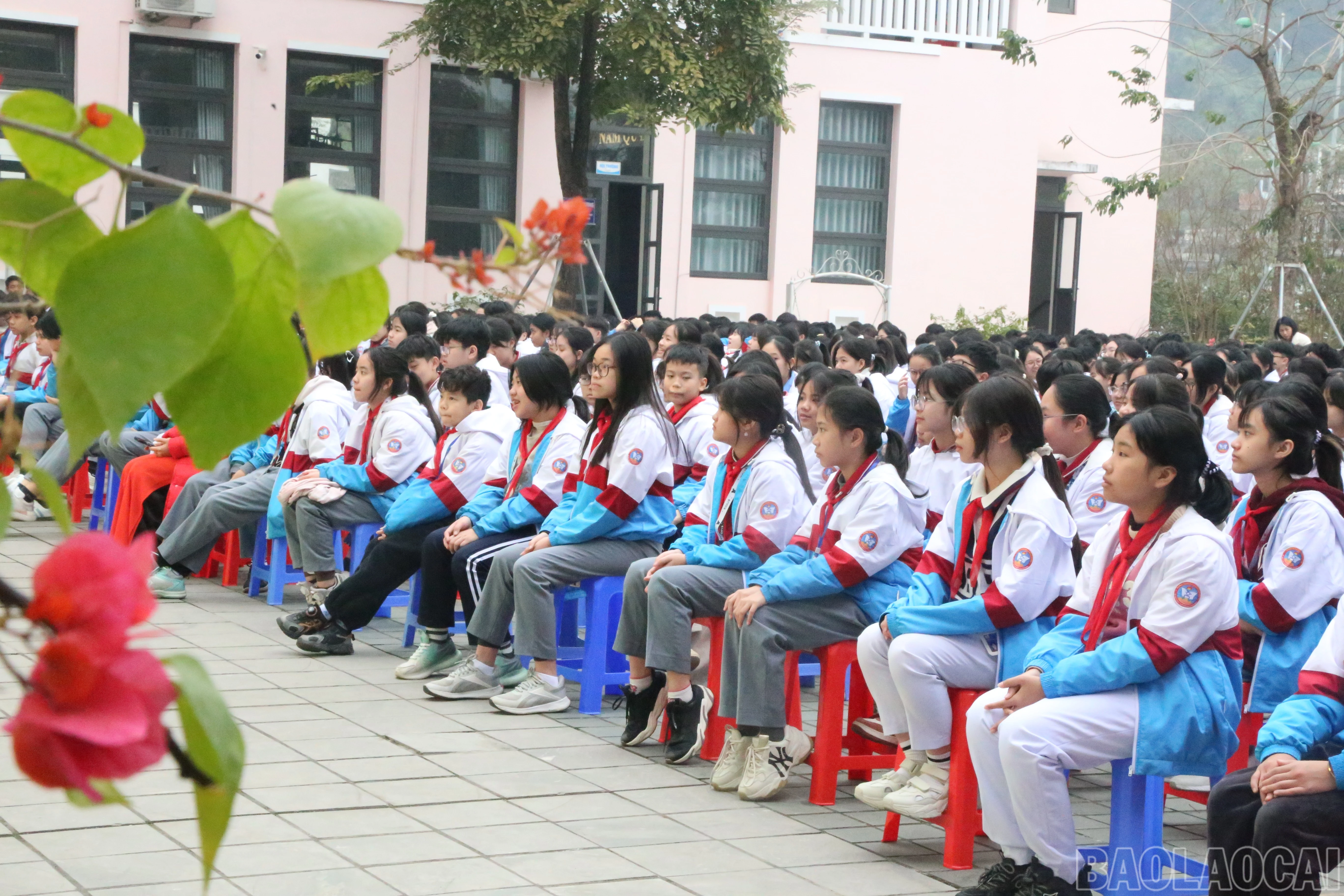 baolaocai-br_img-7793.jpg
