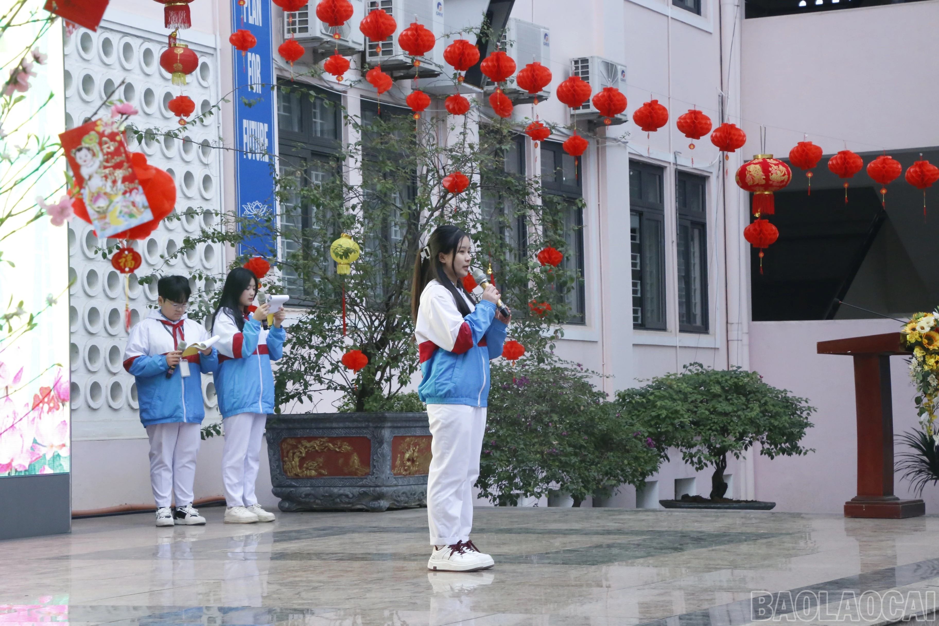 baolaocai-br_mg-7821.jpg