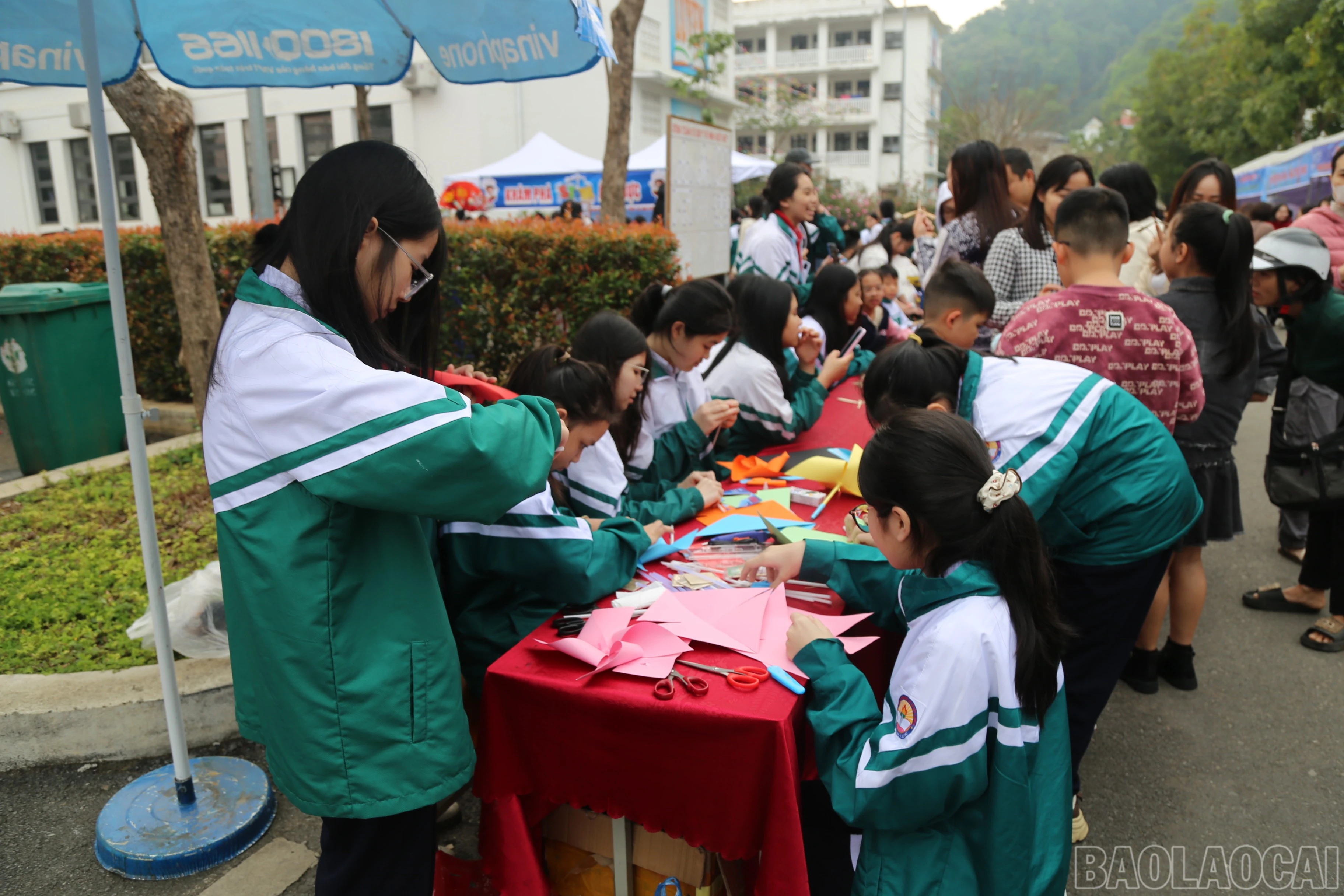 baolaocai-br_img-9857.jpg