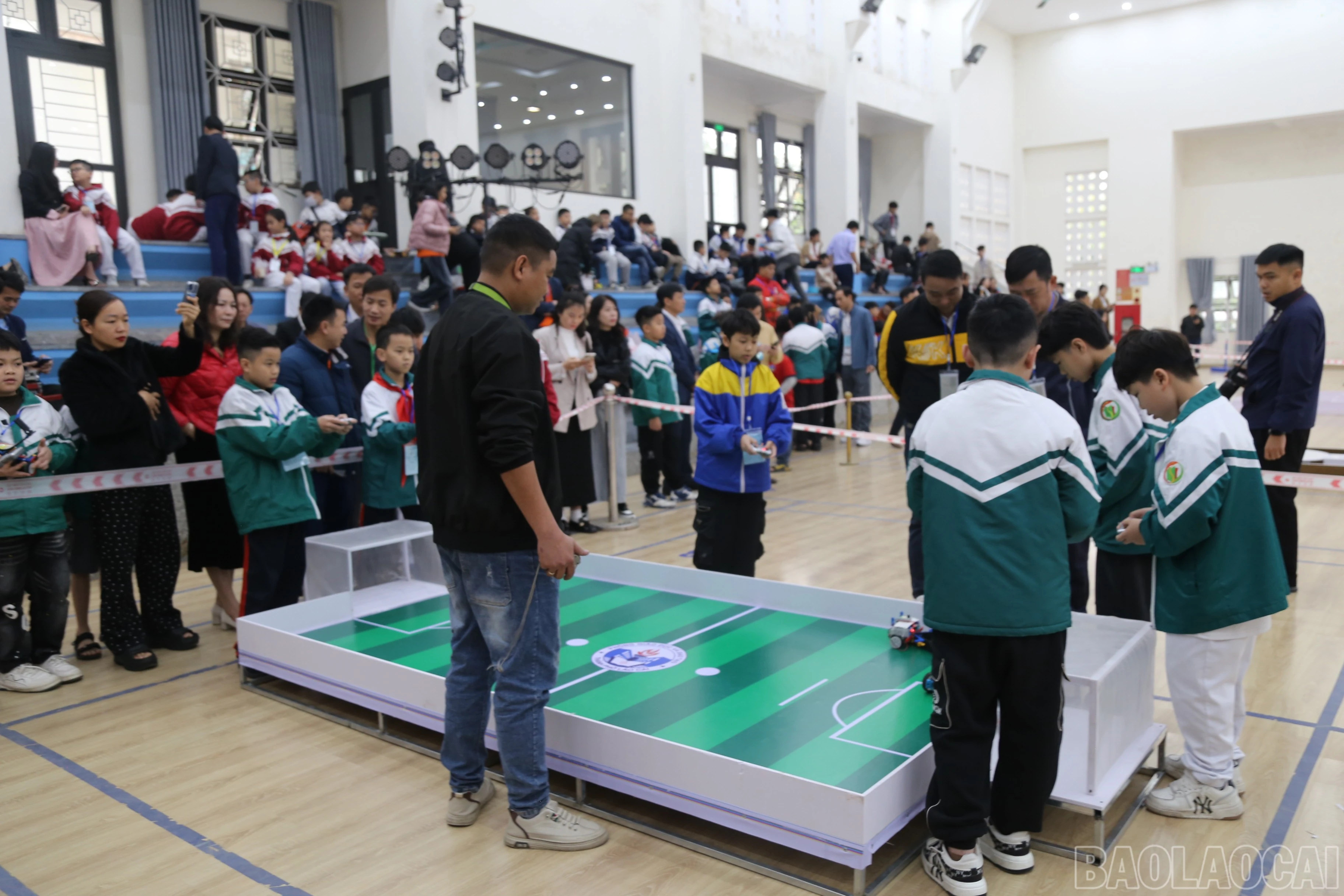 baolaocai-br_img-9710.jpg
