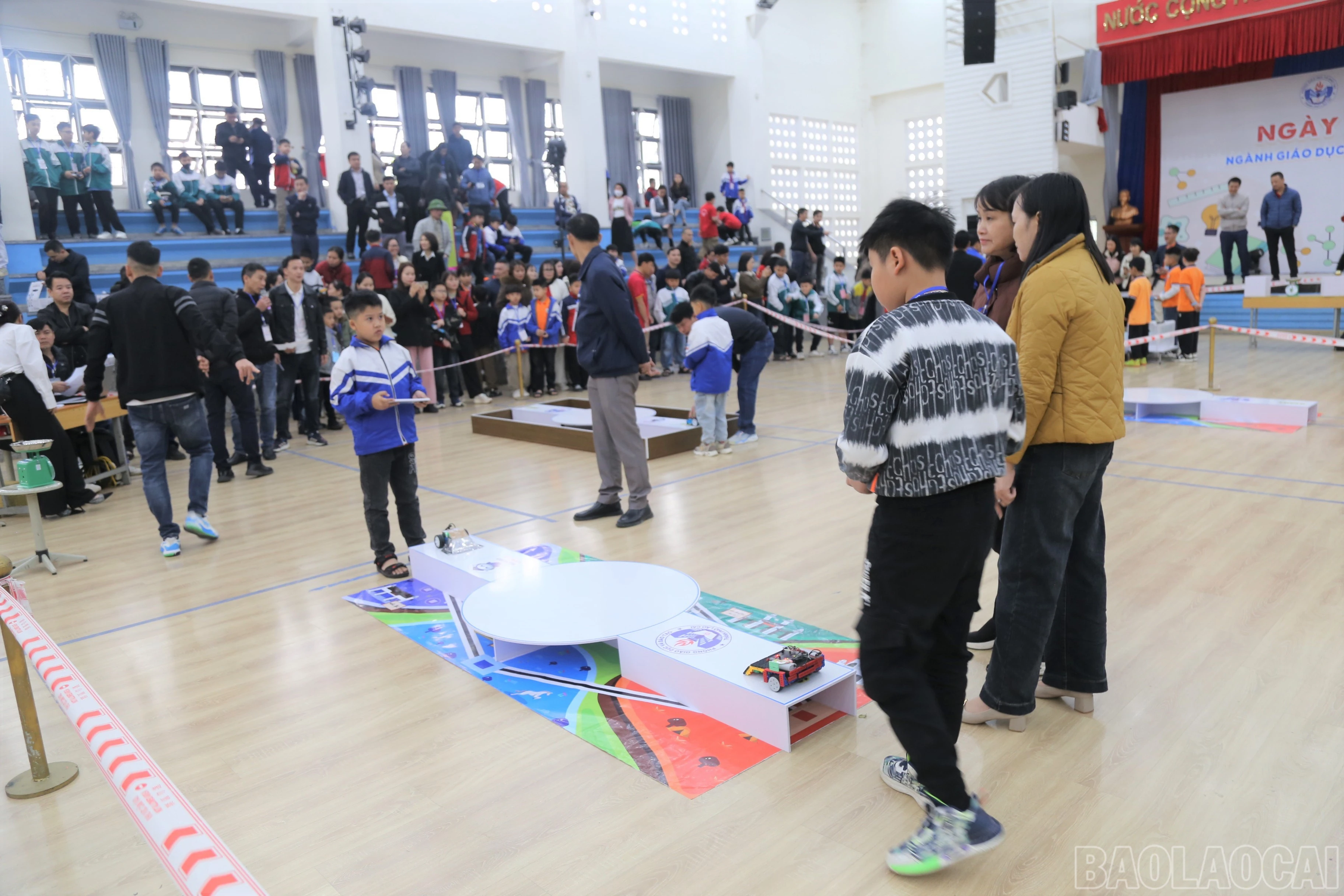 baolaocai-br_img-9759.jpg