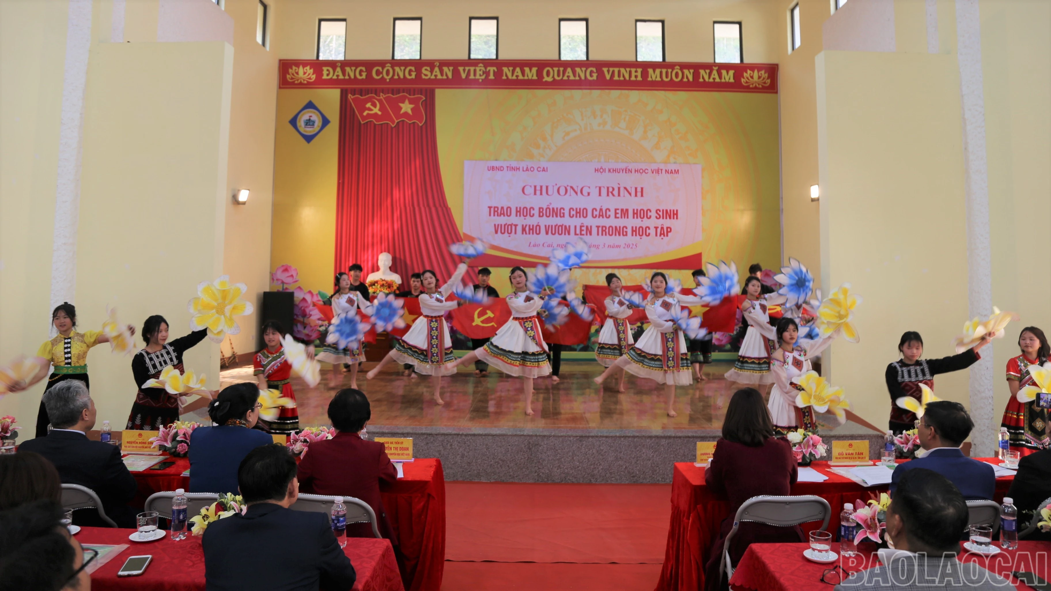 baolaocai-br_img-0138.jpg