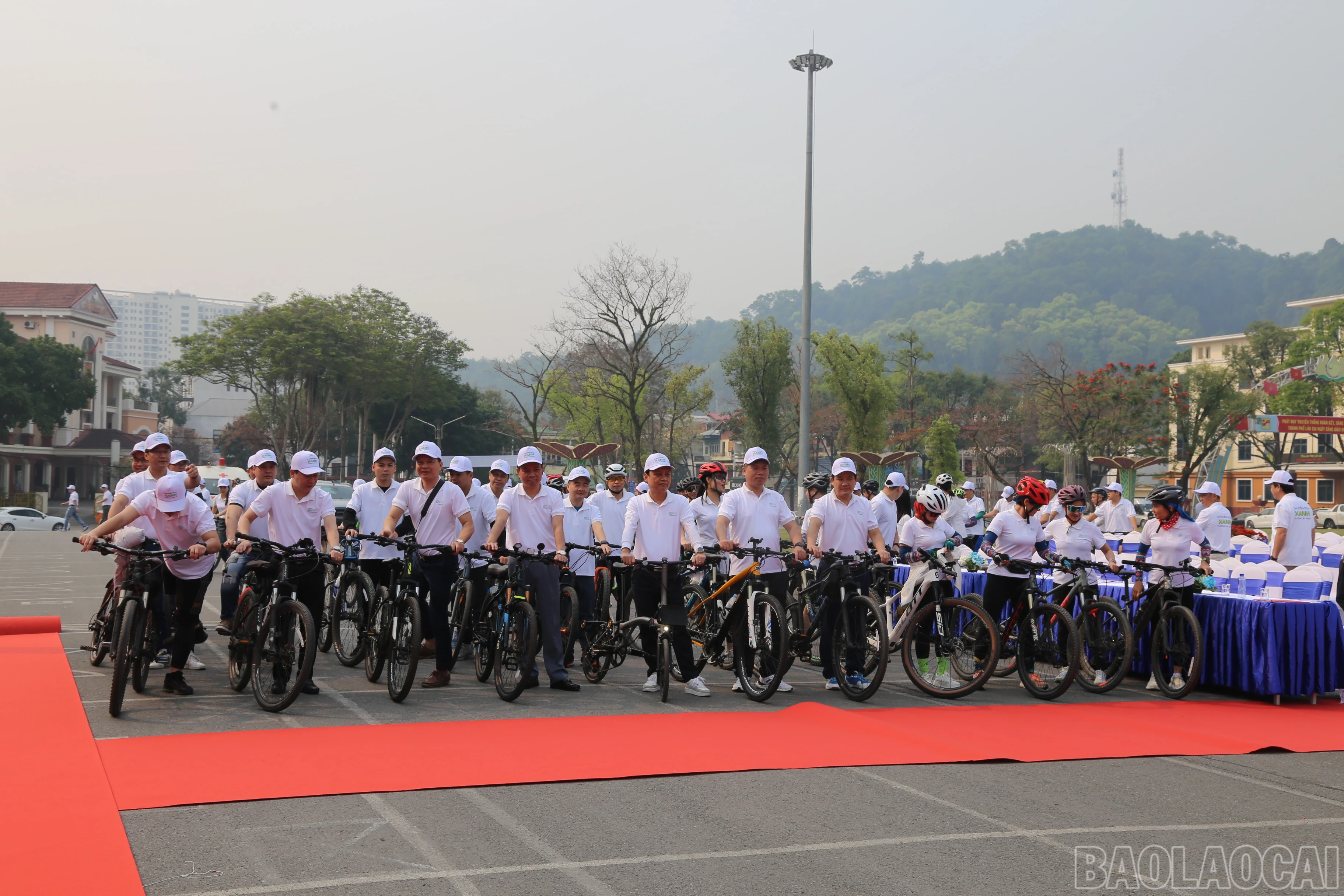 baolaocai-br_img-0032.jpg