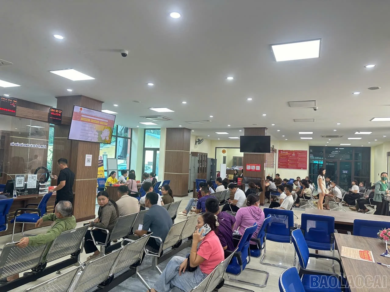baolaocai-br_hcc.jpg