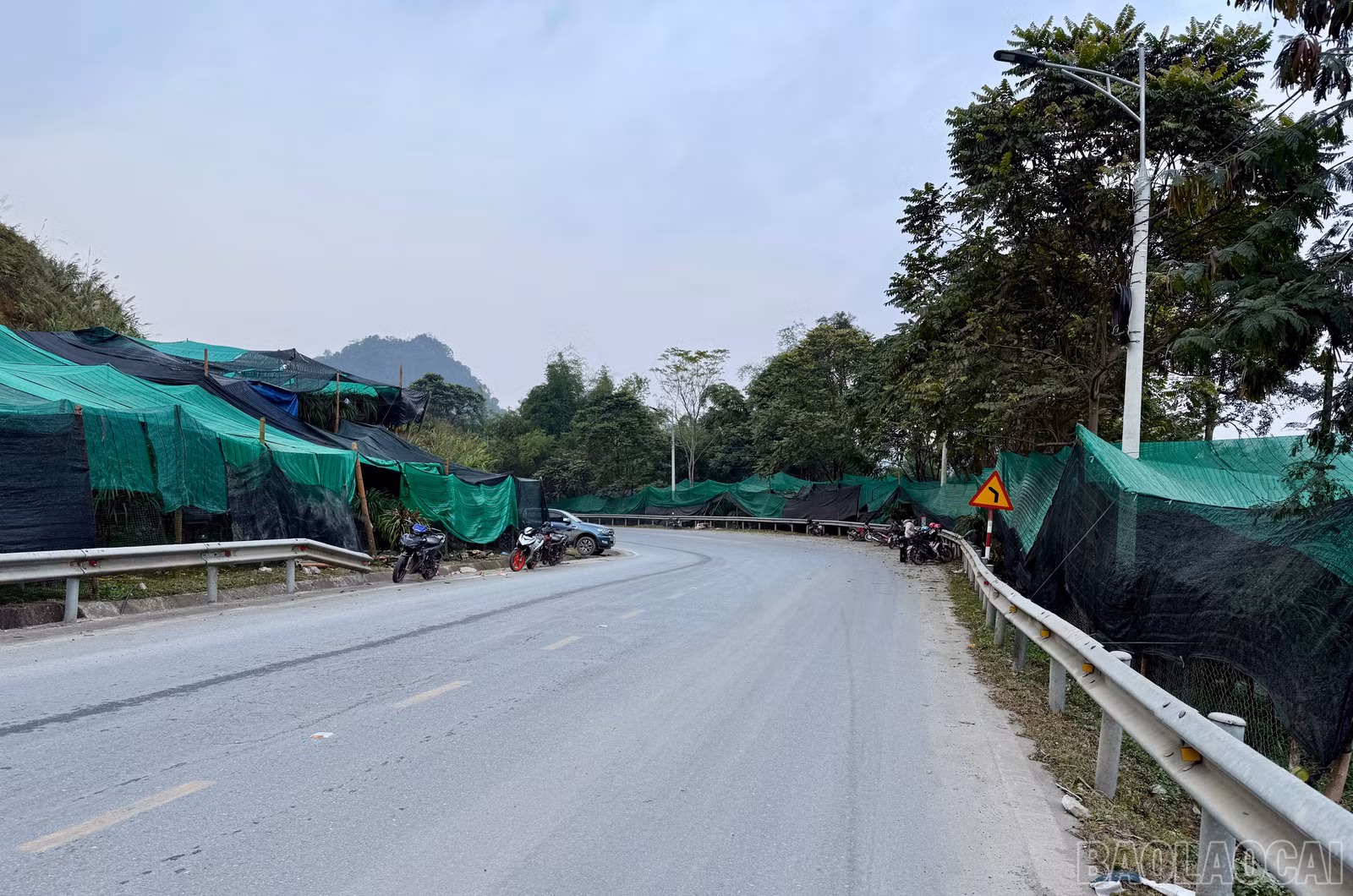 baolaocai-br_img-1183.jpg
