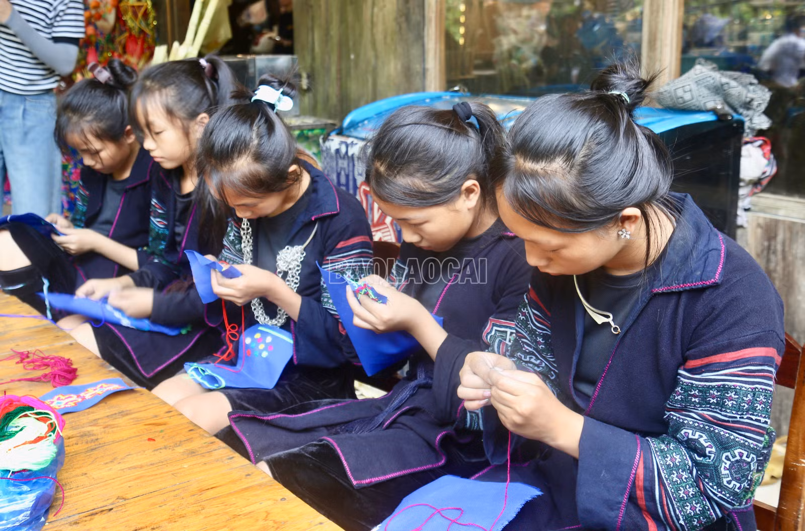 baolaocai-c_img-6245.jpg
