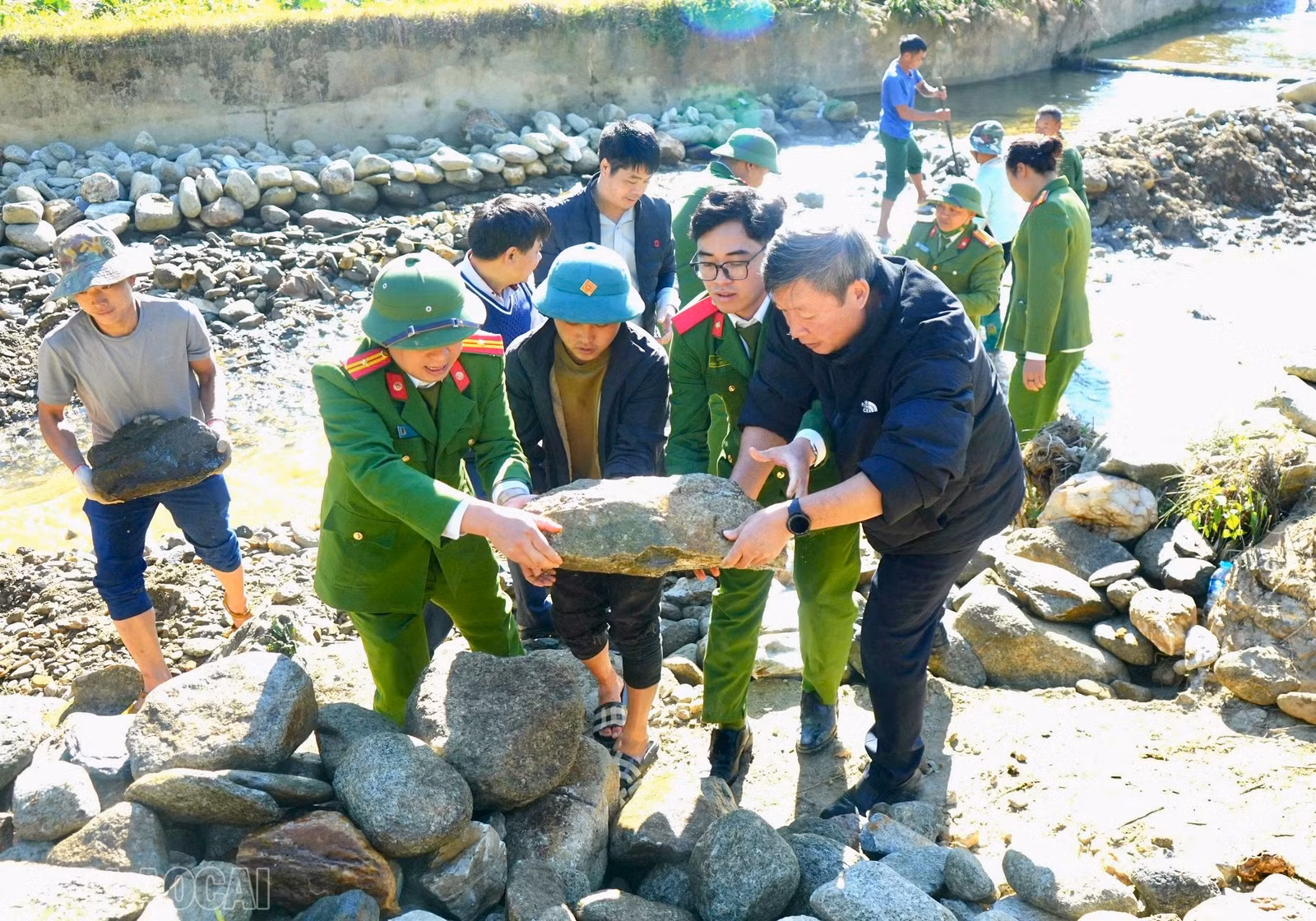 baolaocai-bl_img-9877.jpg