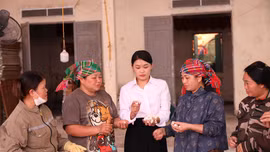 Tổ khuyến nông cộng đồng ở Lào Cai cần thêm nguồn lực để phát triển bền vững