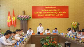 Lào Cai quyết liệt tháo gỡ điểm nghẽn, tạo động lực cho kinh tế tư nhân