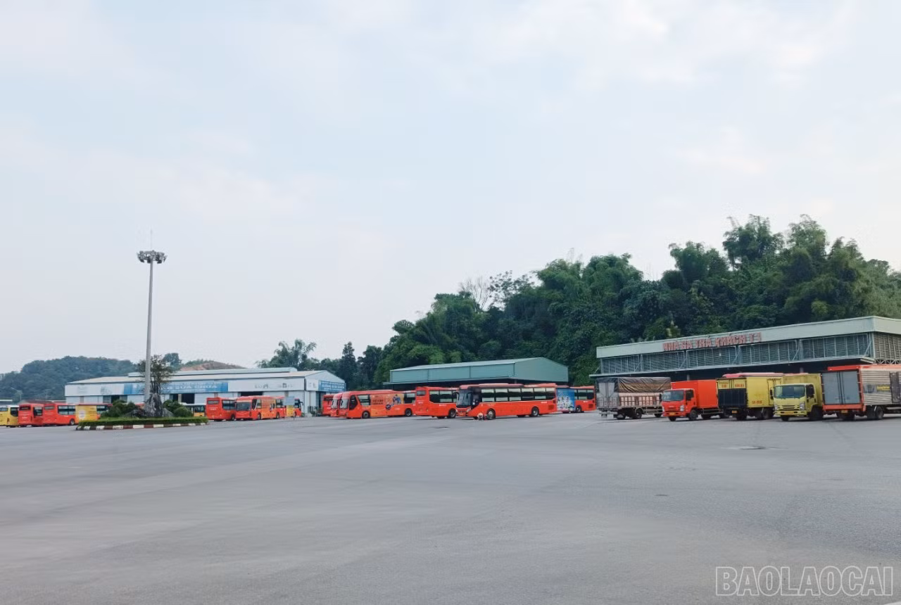 baolaocai-br_bx1.jpg