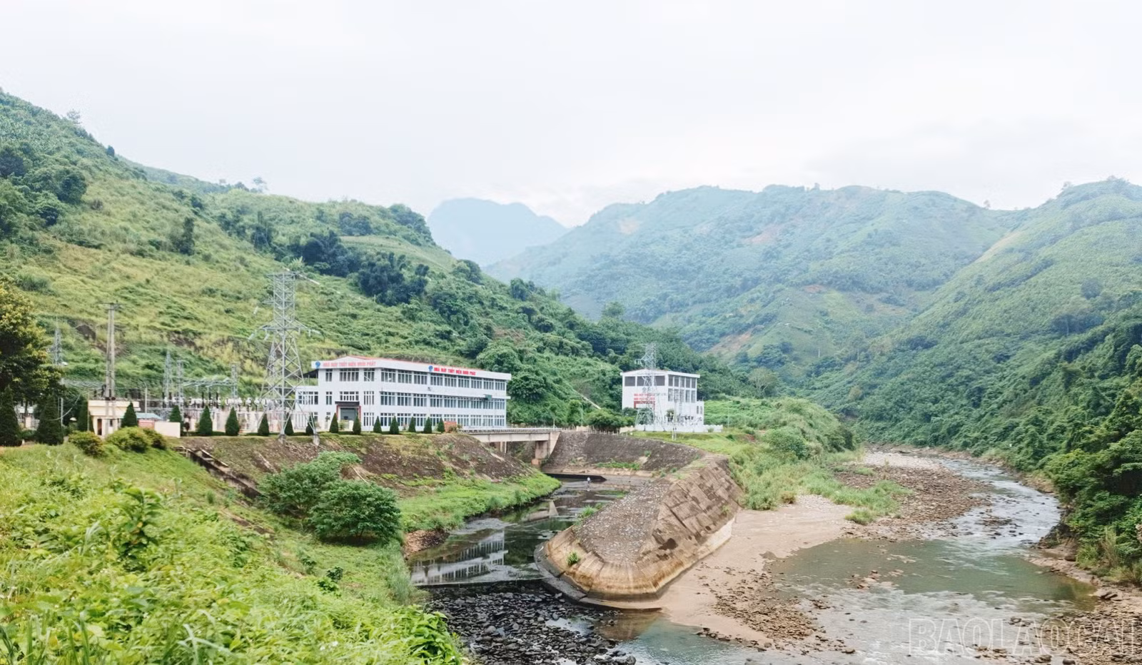 baolaocai-br_t18.jpg