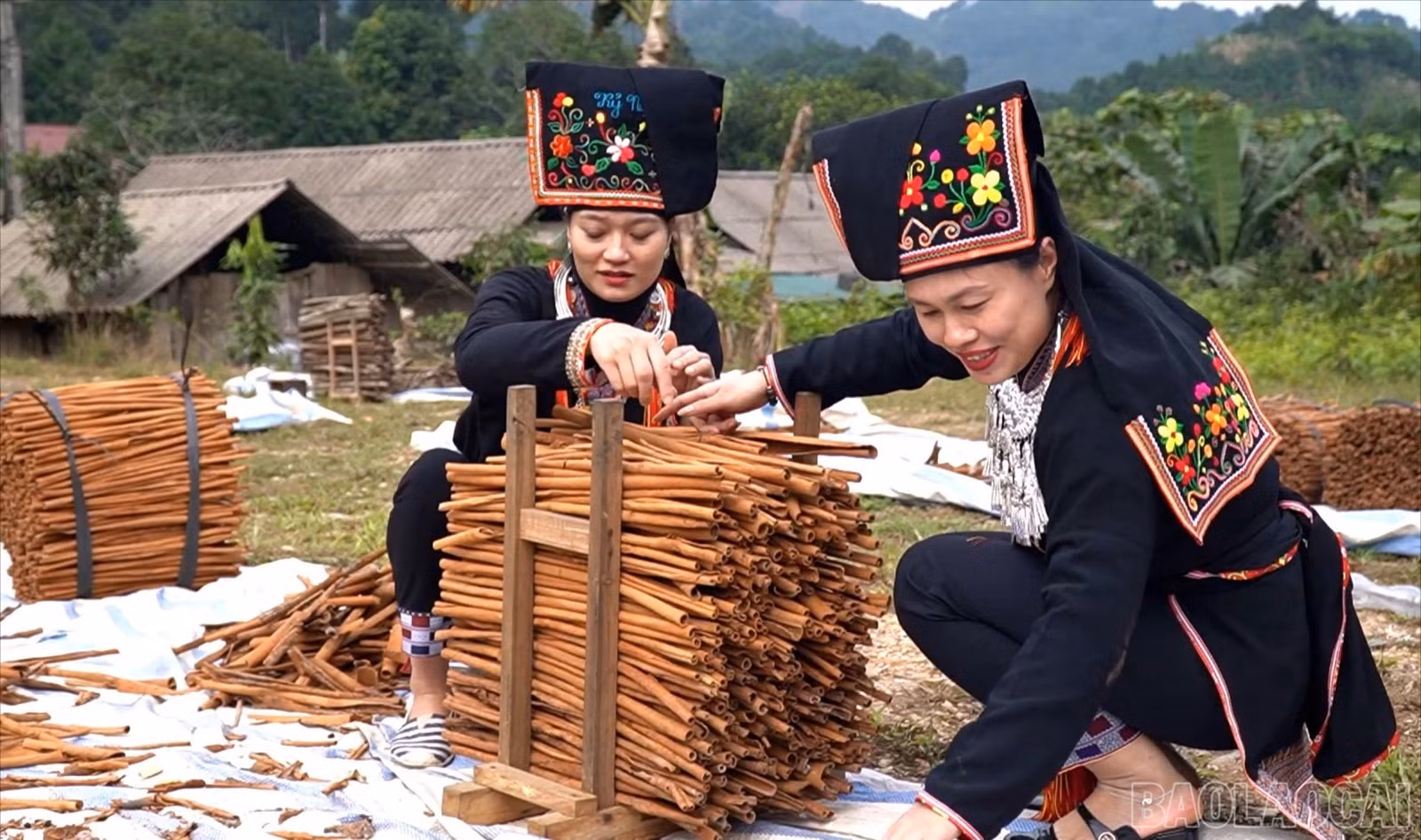 baolaocai-br_11111-7184.jpg