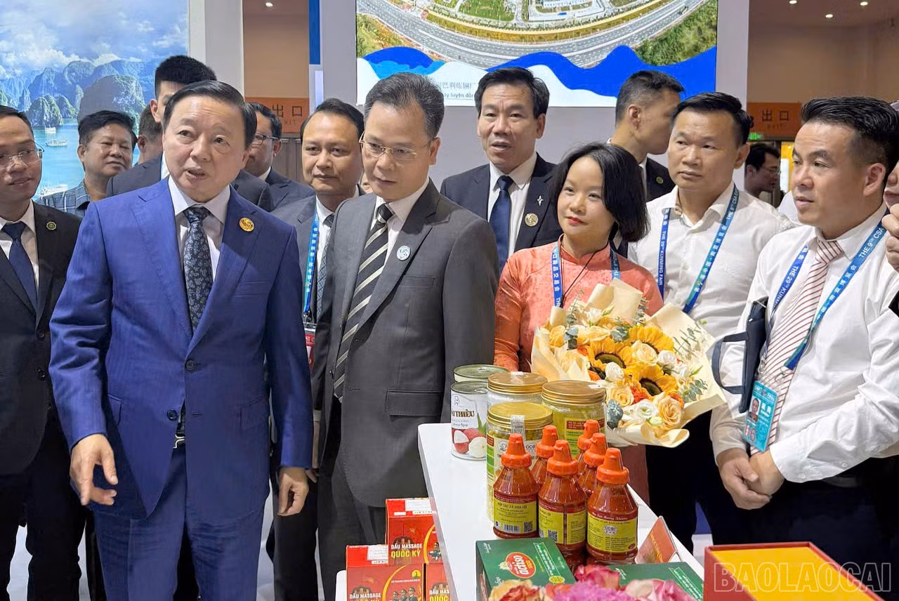baolaocai-br_t222.jpg