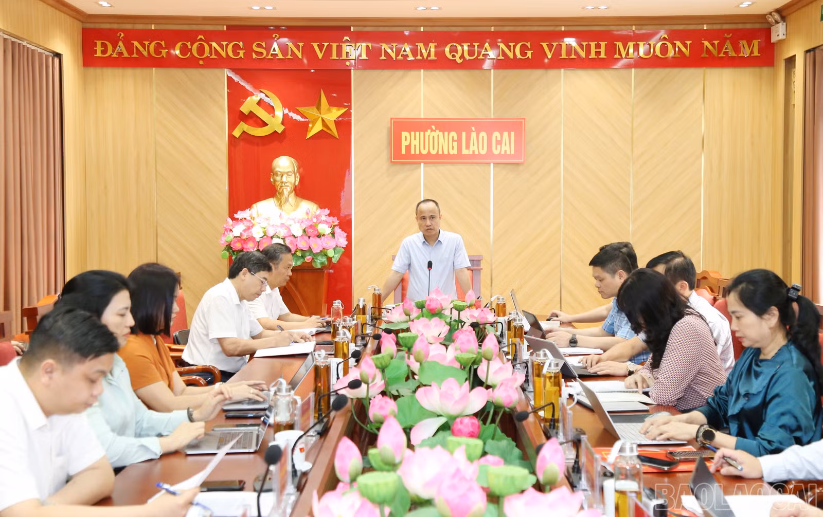 baolaocai-br_a2.jpg