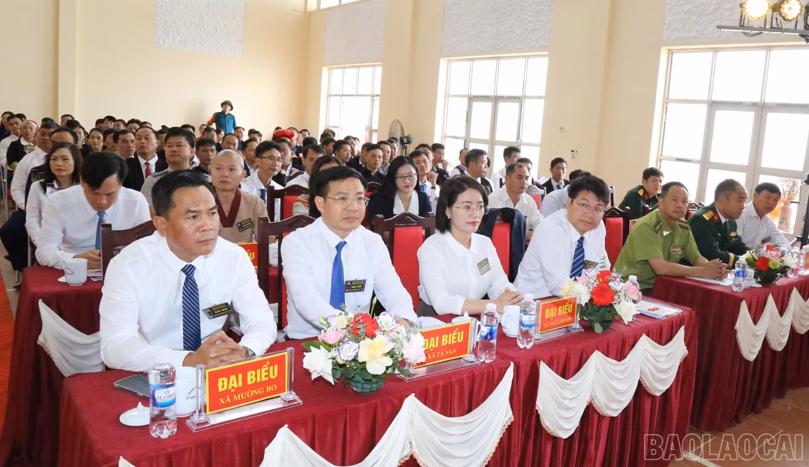 baolaocai-br_h12.jpg